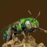 Marco Andretti Hangs Up His Racing Helmet: A New Chapter Begins