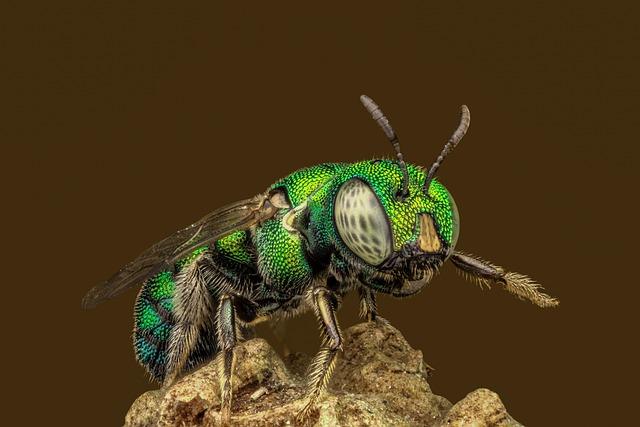 Marco Andretti Hangs Up His Racing Helmet: A New Chapter Begins