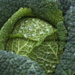 Kalle Rovanperä Reflects on What He’ll Miss Most After Leaving WRC