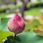 Celebrating Jimmie Johnson: 50 Unforgettable Moments on His Milestone Birthday!