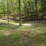 Lando Norris Hints at a Turning Point: ‘It’s All Downhill from Here’ After 2025!