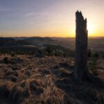 Inside the Mind of Cyril Abiteboul: Insights from the Genesis Magma Racing Team Principal and Hyundai Motorsport President