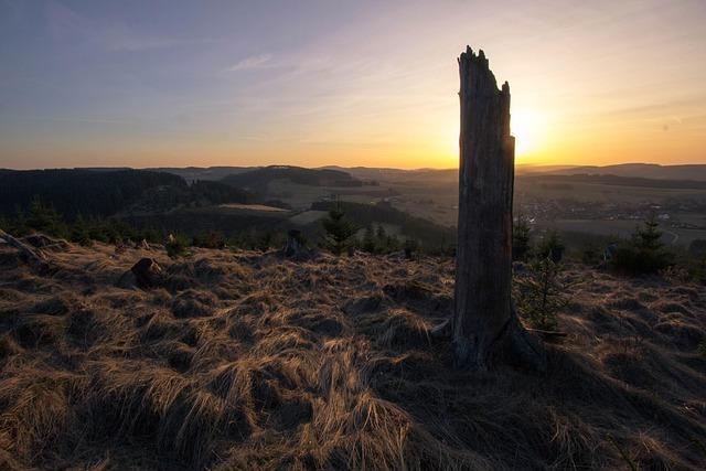 Inside the Mind of Cyril Abiteboul: Insights from the Genesis Magma Racing Team Principal and Hyundai Motorsport President