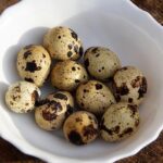 Revving Up for 2026: The Quail Motorsports Gathering Celebrates Japanese Performance and the Iconic Route 66!