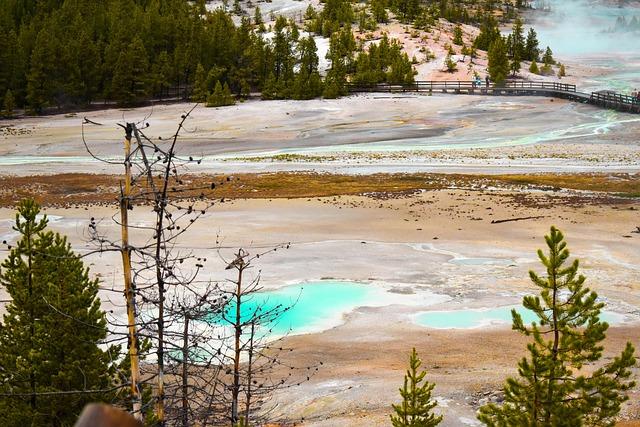 2025’s Highest-Paid Athletes: Lando Norris vs. LeBron James – Who Comes Out on Top?