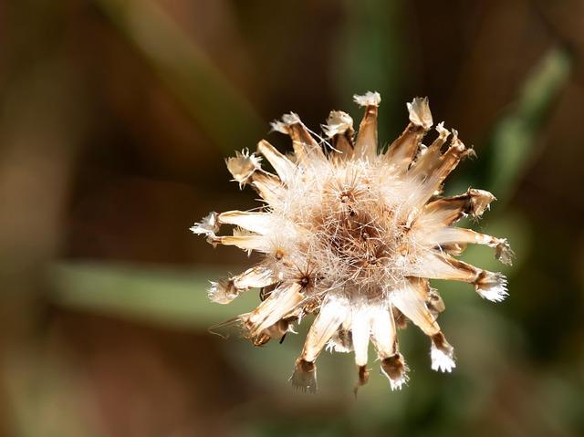 Imola Unveils Ambitious Transformation to Keep F1 Dreams Thriving!