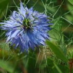 Unleash the Legacy: Nigel Mansell’s Signed Williams Helmet and IndyCar Trophy Go to Auction!
