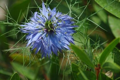 Unleash the Legacy: Nigel Mansell’s Signed Williams Helmet and IndyCar Trophy Go to Auction!
