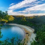 Jacob Abel Shifts Gears: From IndyCar to the Thrilling World of Sports Cars!