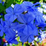 Bowman Gray Legend Burt Myers Set to Make Waves at NASCAR Cup Clash!