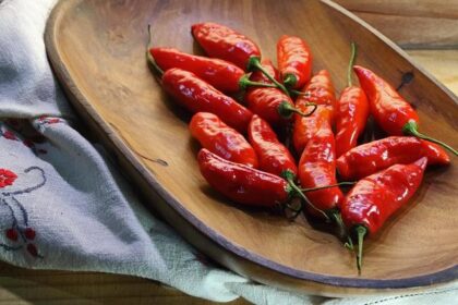 Get ready for the 40th Chili Bowl Midget Nationals