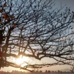 Flavio Briatore Reveals Christian Horner’s Interest in Alpine F1 Team Stake!