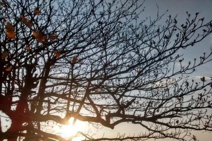 Flavio Briatore Reveals Christian Horner’s Interest in Alpine F1 Team Stake!