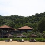 Franco Colapinto: A Remarkable Transformation from Last Year’s Prodigy to a Seasoned Competitor