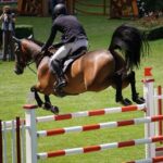 FOX Sports, INDYCAR Announce 2026 INDY NXT by Firestone TV Schedule – INDYCAR.com