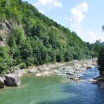 Will Power Vows to Prove Penske Wrong as He Embarks on New Journey with Andretti