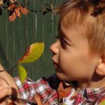 Spencer Bayston Makes a Thrilling Comeback to World of Outlaws with Stenhouse Jr. and Marshall!