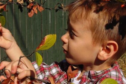 Spencer Bayston Makes a Thrilling Comeback to World of Outlaws with Stenhouse Jr. and Marshall!