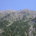 Guenther Steiner Reveals Why Leaving Red Bull Was the Best Career Move He Ever Made