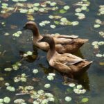 Jim Campbell Takes the Wheel as VP of Performance and Motorsports at GM!