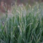 Tim Cindric returns to Team Penske for 2026 as Scott McLaughlin’s strategist