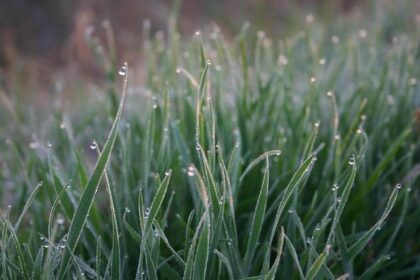 Tim Cindric returns to Team Penske for 2026 as Scott McLaughlin’s strategist