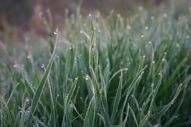 Tim Cindric returns to Team Penske for 2026 as Scott McLaughlin’s strategist
