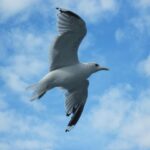 Nolan Siegel says pressure of contract year “doesn’t really change anything”