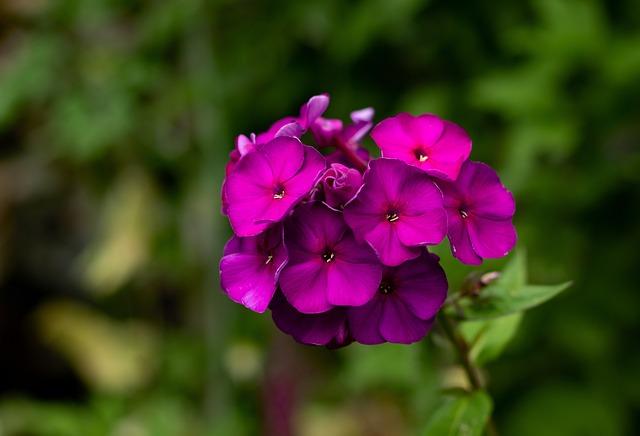 Nicki Thiim Joins Aston Martin for an Exciting 2026 DTM Adventure!