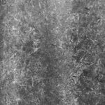 Bowman Gray – Wednesday, in photos NASCAR Cup – Autosport