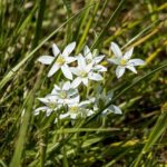 “I Wasn’t Expecting It”: Justin Haley Breaks His Silence After Being Dropped by Spire Motorsports – The SportsRush