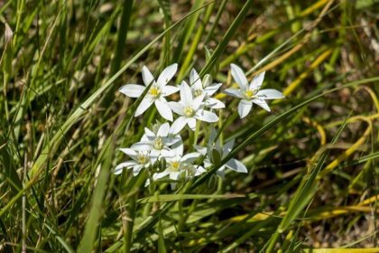 Justin Haley Speaks Out: Surprising Revelations After Parting Ways with Spire Motorsports