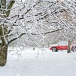 Exciting New Daytona Truck Paint Schemes Unveiled for Cleetus McFarland and Travis Pastrana!