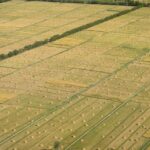 Rick Hendrick Defends ‘Railroaded’ France Family Following Lawsuit Settlement