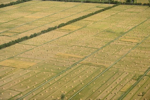 Rick Hendrick Defends ‘Railroaded’ France Family Following Lawsuit Settlement