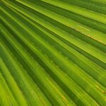 James Hinchcliffe Set to Make Exciting NASCAR Truck Debut at St. Pete!