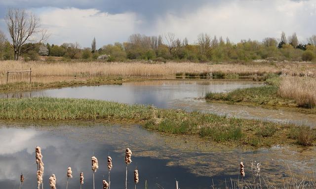 Brandon Wilkinson Celebrates His First NASCAR Cup Victory at the Clash!