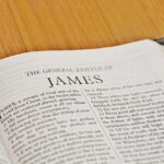 James Hinchcliffe Set to Make Exciting NASCAR Truck Debut at St. Pete!