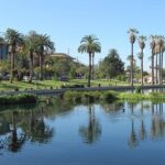 EchoPark: The Unshakeable Playground of Austin Hill