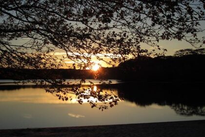 Denny Hamlin Takes Responsibility Alongside Justin Allgaier for Dramatic Daytona 500 Crash