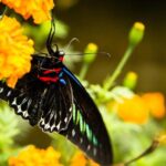 Rajah Caruth brings added confidence to EchoPark Speedway – NASCAR.com