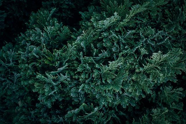 Liam Lawson’s Racing Bulls Challenge: Will 2026 F1 Rules Reveal His Driving Flaws?