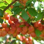 "F1" movie star Damson Idris presented AMFF award by producer Jerry Bruckheimer