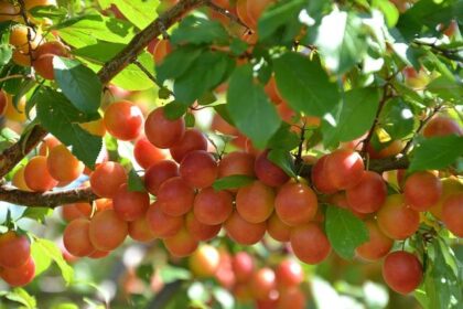 "F1" movie star Damson Idris presented AMFF award by producer Jerry Bruckheimer