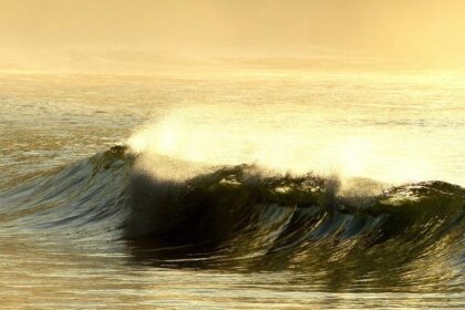 Felix Rosenqvist Shares Exciting Insights on IndyCar 2026!