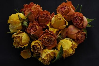 Get Ready for the Future: Honda Racing Corporation Unveils Exciting New Prototype Performance Parts and Concept Cars at the 2025 SEMA Show!