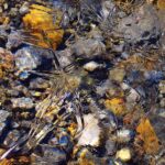 Claire Williams Shares Her Support for George Russell’s F1 Championship Dreams