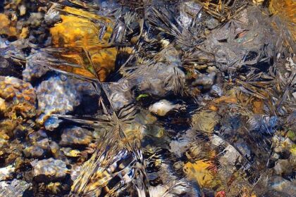 Claire Williams Shares Her Support for George Russell’s F1 Championship Dreams