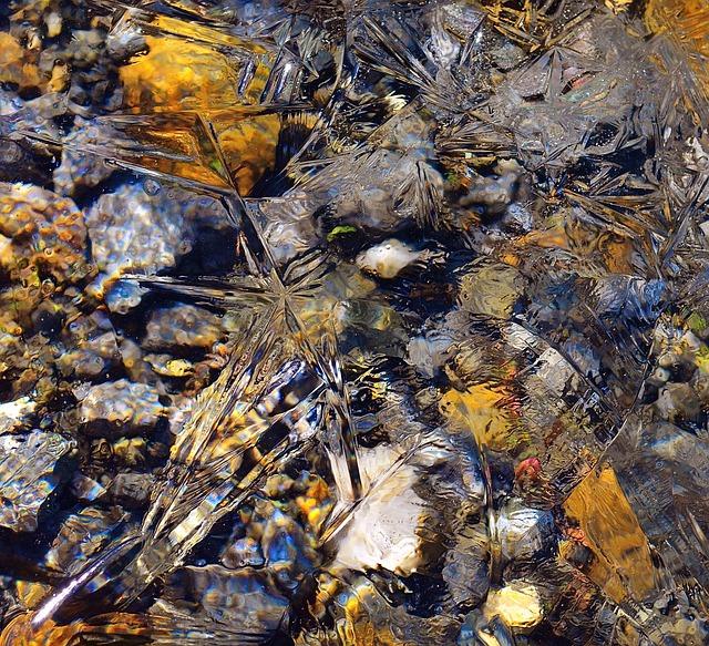 Claire Williams Shares Her Support for George Russell’s F1 Championship Dreams