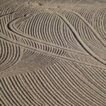 Heart of Racing Unveils Exciting 2026 WEC Driver Line-ups!